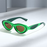 Contrast Color Cat Eye Polycarbonate Sunglasses