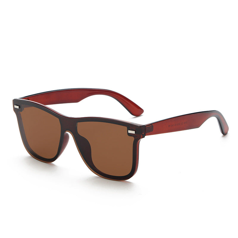 Wayfarer Polarisasi Kacamata TR