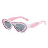 Contrast Color Cat Eye Polycarbonate Sunglasses