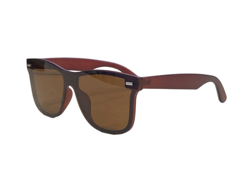 Wayfarer Polarisasi Kacamata TR