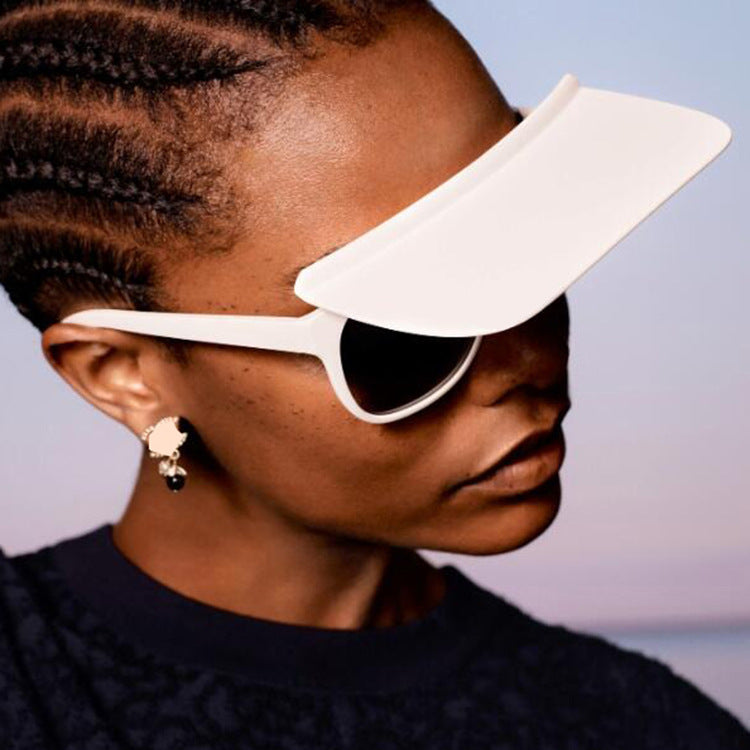 Lunettes de soleil Wayfarer Unique Bouclier