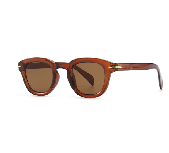 Retro Polycarbonate Wayfarer Sunglasses