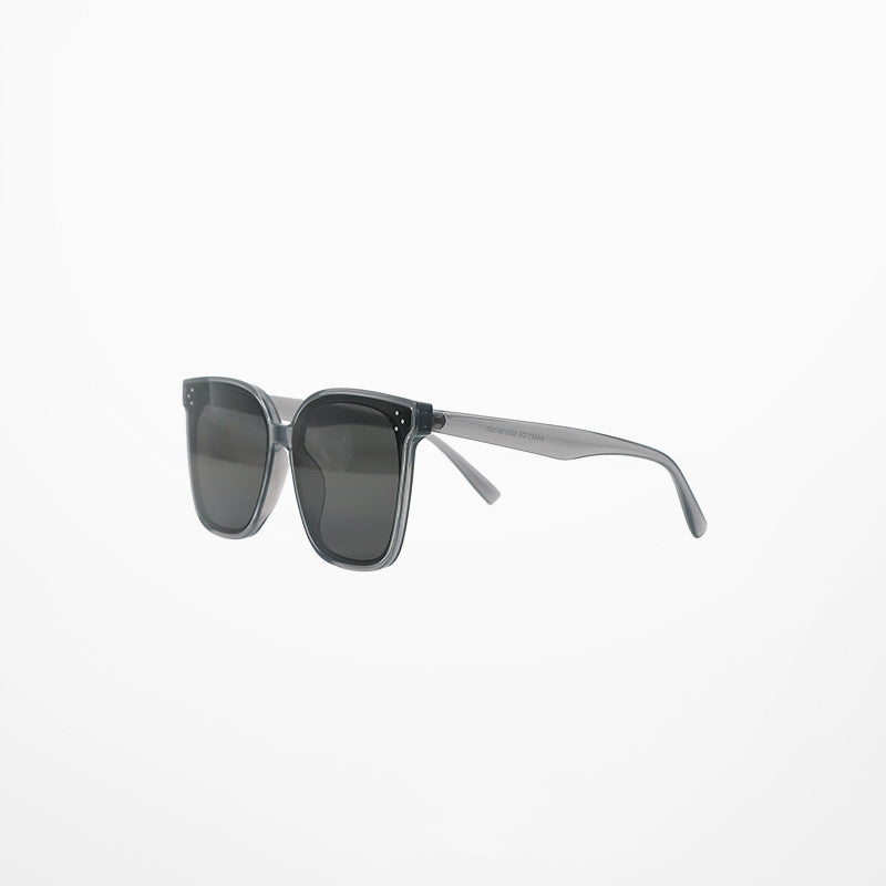 Square Frame Wayfarer Sunglasses